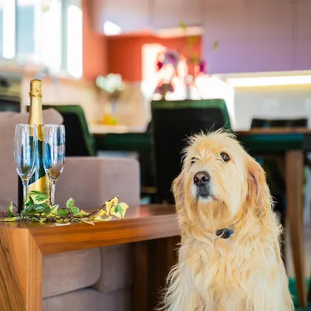 In With Private Heated Pool Villa Filipana