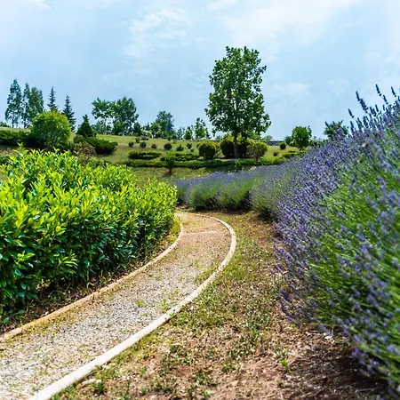 In With Private Heated Pool Filipana