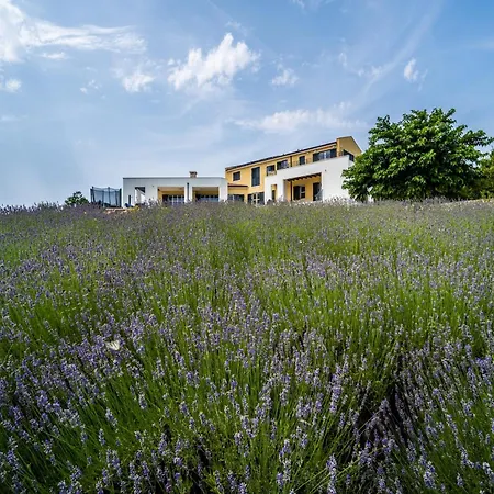 Villa In With Private Heated Pool